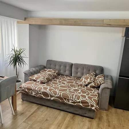 Hugo House Luxury & Quiet - Free Parking Apartment Zalau Exterior photo